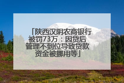 陕西汉阴农商银行被罚73万：因贷后管理不到位导致贷款资金被挪用等