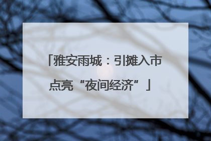 雅安雨城：引摊入市 点亮“夜间经济”