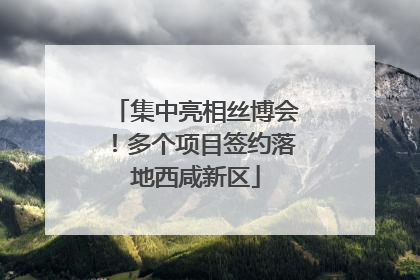 集中亮相丝博会！多个项目签约落地西咸新区
