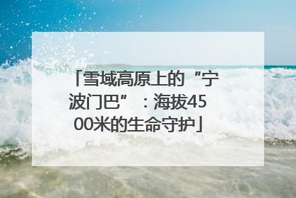 雪域高原上的“宁波门巴”：海拔4500米的生命守护