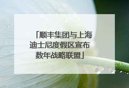 顺丰集团与上海迪士尼度假区宣布数年战略联盟