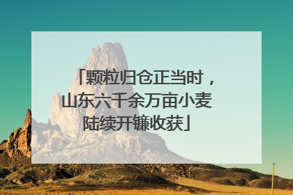 颗粒归仓正当时，山东六千余万亩小麦陆续开镰收获