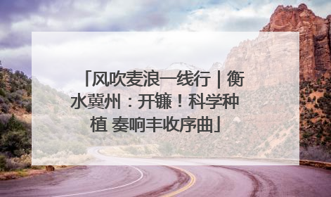 风吹麦浪一线行｜衡水冀州：开镰！科学种植 奏响丰收序曲