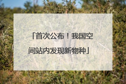 首次公布！我国空间站内发现新物种
