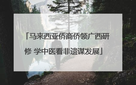 马来西亚侨商侨领广西研修 学中医看非遗谋发展