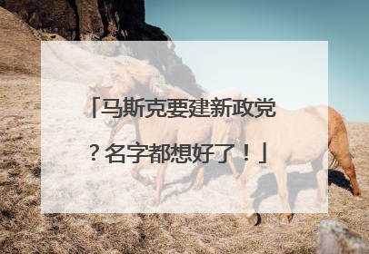 马斯克要建新政党？名字都想好了！