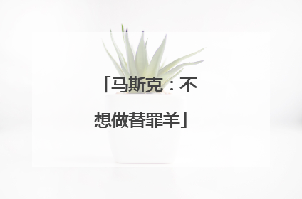马斯克：不想做替罪羊