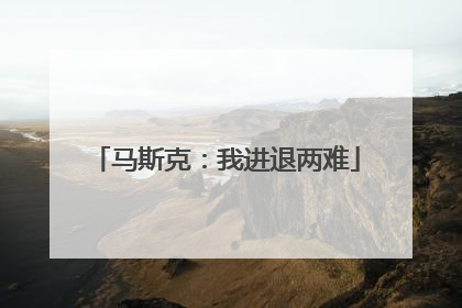 马斯克：我进退两难