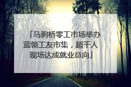 马驹桥零工市场举办蓝领工友市集，超千人现场达成就业意向