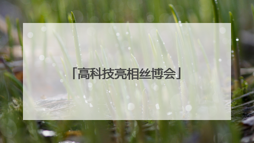 高科技亮相丝博会