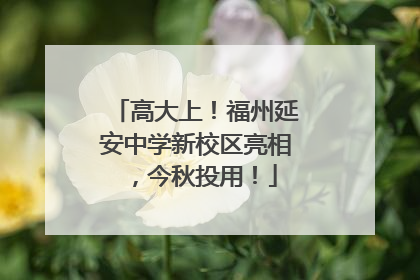 高大上！福州延安中学新校区亮相，今秋投用！