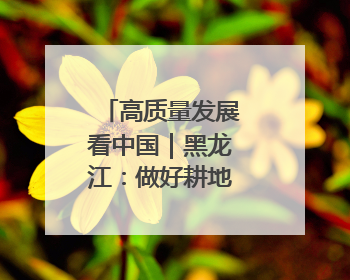 高质量发展看中国｜黑龙江：做好耕地“土”文章