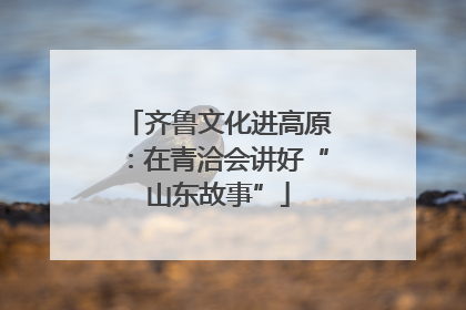 齐鲁文化进高原：在青洽会讲好“山东故事”