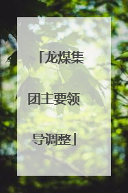 龙煤集团主要领导调整
