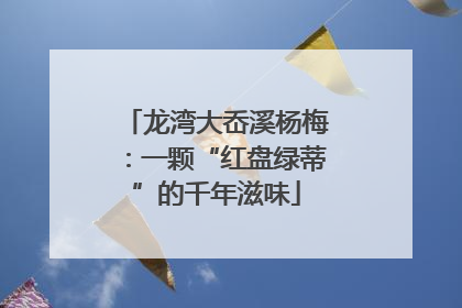 龙湾大岙溪杨梅：一颗“红盘绿蒂”的千年滋味
