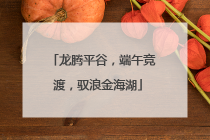 龙腾平谷，端午竞渡，驭浪金海湖