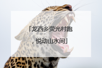 龙西乡荧光村跑，悦动山水间