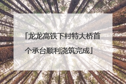 龙龙高铁下村特大桥首个承台顺利浇筑完成