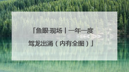 鱼眼·现场丨一年一度 驾龙出涌（内有全图）