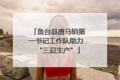 鱼台县唐马镇第一书记工作队助力“三夏生产”