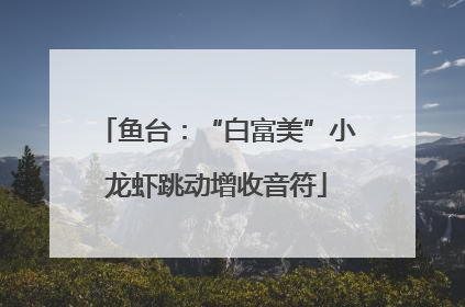 鱼台：“白富美”小龙虾跳动增收音符