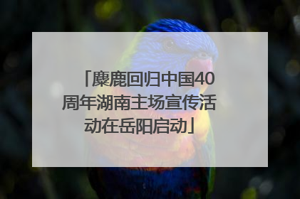 麋鹿回归中国40周年湖南主场宣传活动在岳阳启动