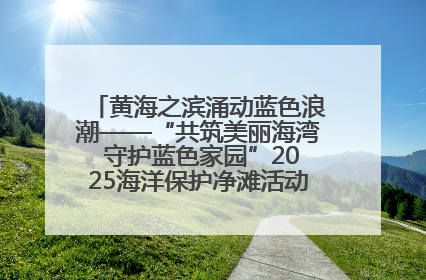 黄海之滨涌动蓝色浪潮——“共筑美丽海湾 守护蓝色家园”2025海洋保护净滩活动暨“美丽江苏—江河湖海青蓝行”海洋篇在连云港举行