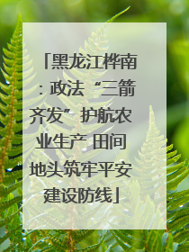 黑龙江桦南：政法“三箭齐发”护航农业生产 田间地头筑牢平安建设防线