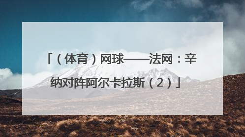 （体育）网球——法网：辛纳对阵阿尔卡拉斯（2）