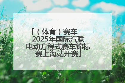 （体育）赛车——2025年国际汽联电动方程式赛车锦标赛上海站开赛