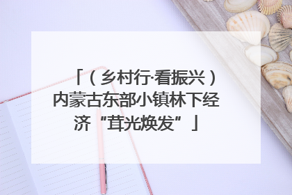 （乡村行·看振兴）内蒙古东部小镇林下经济“茸光焕发”