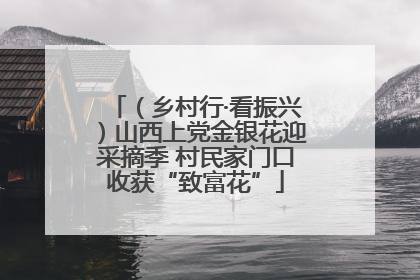 （乡村行·看振兴）山西上党金银花迎采摘季 村民家门口收获“致富花”