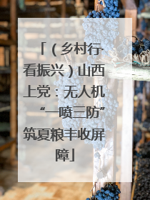 （乡村行·看振兴）山西上党：无人机“一喷三防”筑夏粮丰收屏障