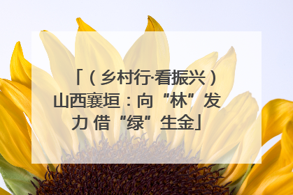 （乡村行·看振兴）山西襄垣：向“林”发力 借“绿”生金