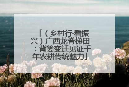 （乡村行·看振兴）广西龙脊梯田：背篓变迁见证千年农耕传统魅力