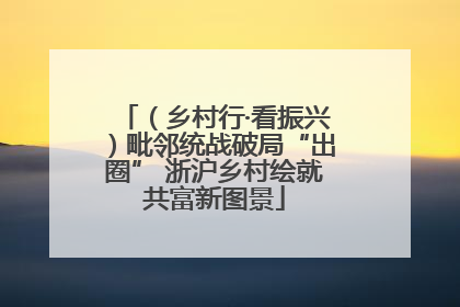 （乡村行·看振兴）毗邻统战破局“出圈” 浙沪乡村绘就共富新图景