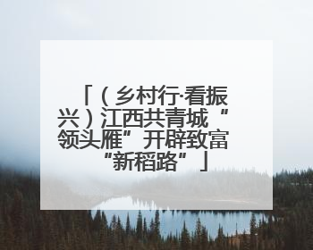（乡村行·看振兴）江西共青城“领头雁”开辟致富“新稻路”