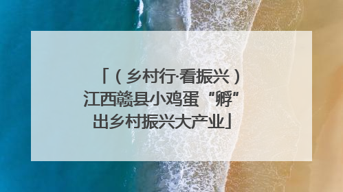 （乡村行·看振兴）江西赣县小鸡蛋“孵”出乡村振兴大产业