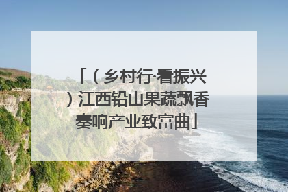 （乡村行·看振兴）江西铅山果蔬飘香 奏响产业致富曲