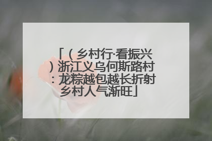 （乡村行·看振兴）浙江义乌何斯路村：龙粽越包越长折射乡村人气渐旺