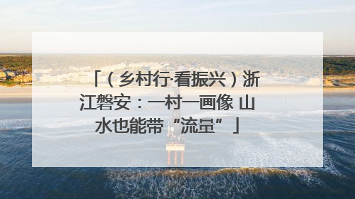 （乡村行·看振兴）浙江磐安：一村一画像 山水也能带“流量”