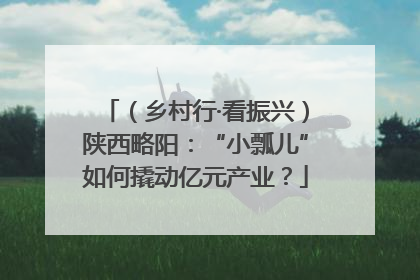 （乡村行·看振兴）陕西略阳：“小瓢儿”如何撬动亿元产业？