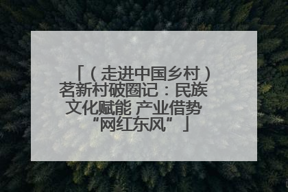 （走进中国乡村）茗新村破圈记：民族文化赋能 产业借势 “网红东风”