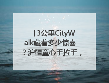 3公里CityWalk藏着多少惊喜？沪疆童心手拉手，“益起走”