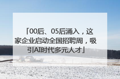 00后、05后涌入，这家企业启动全国招聘周，吸引AI时代多元人才