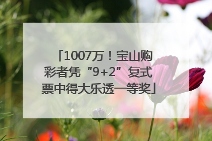1007万！宝山购彩者凭“9+2”复式票中得大乐透一等奖
