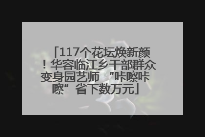 117个花坛焕新颜！华容临江乡干部群众变身园艺师 “咔嚓咔嚓”省下数万元