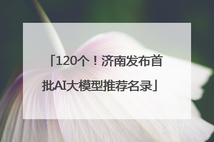 120个！济南发布首批AI大模型推荐名录