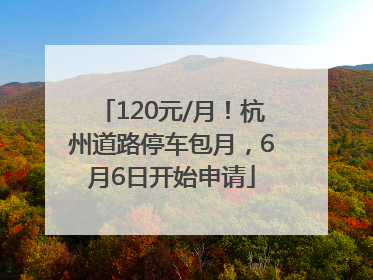 120元/月！杭州道路停车包月，6月6日开始申请
