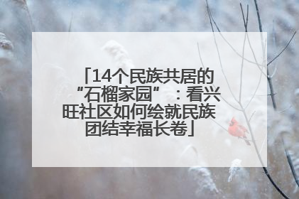 14个民族共居的“石榴家园”：看兴旺社区如何绘就民族团结幸福长卷